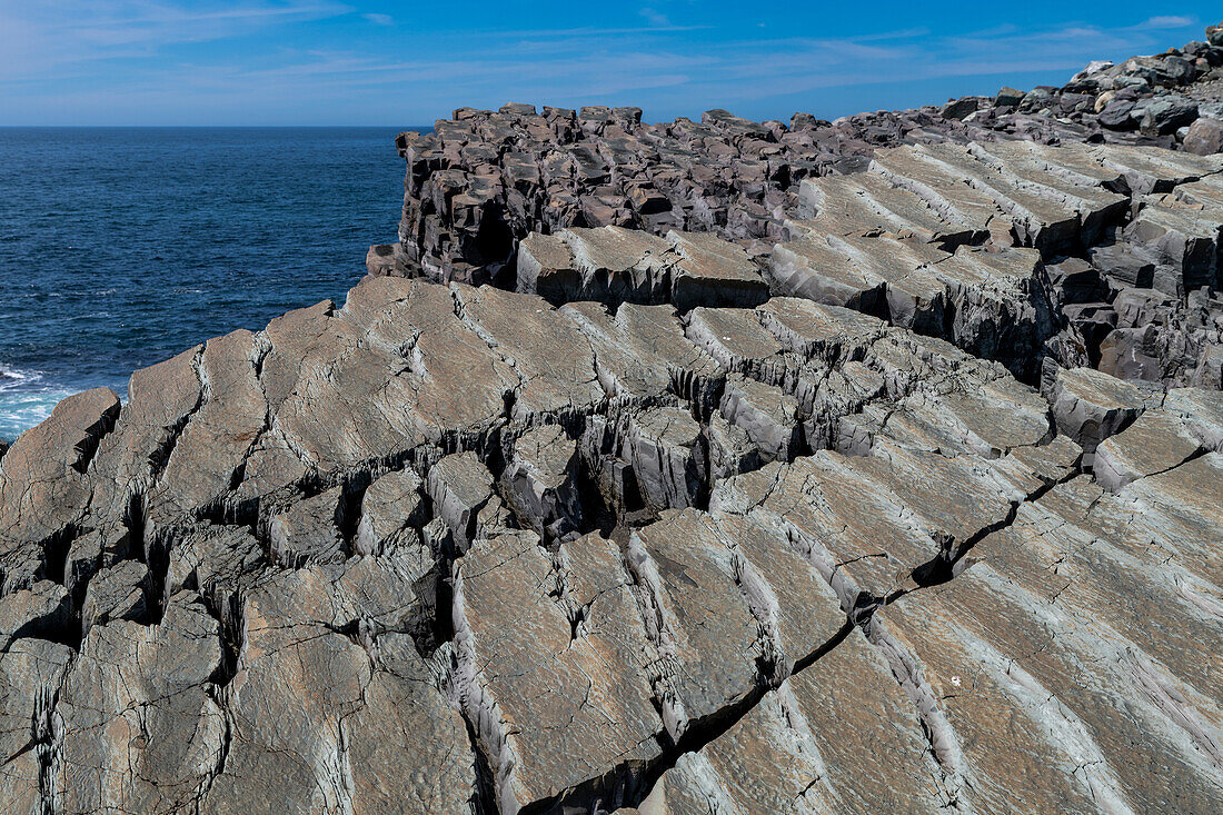 Precambrian fossils, Mistaken Point, UNESCO World Heritage Site, Avalon Peninsula, Newfoundland, Canada, North America