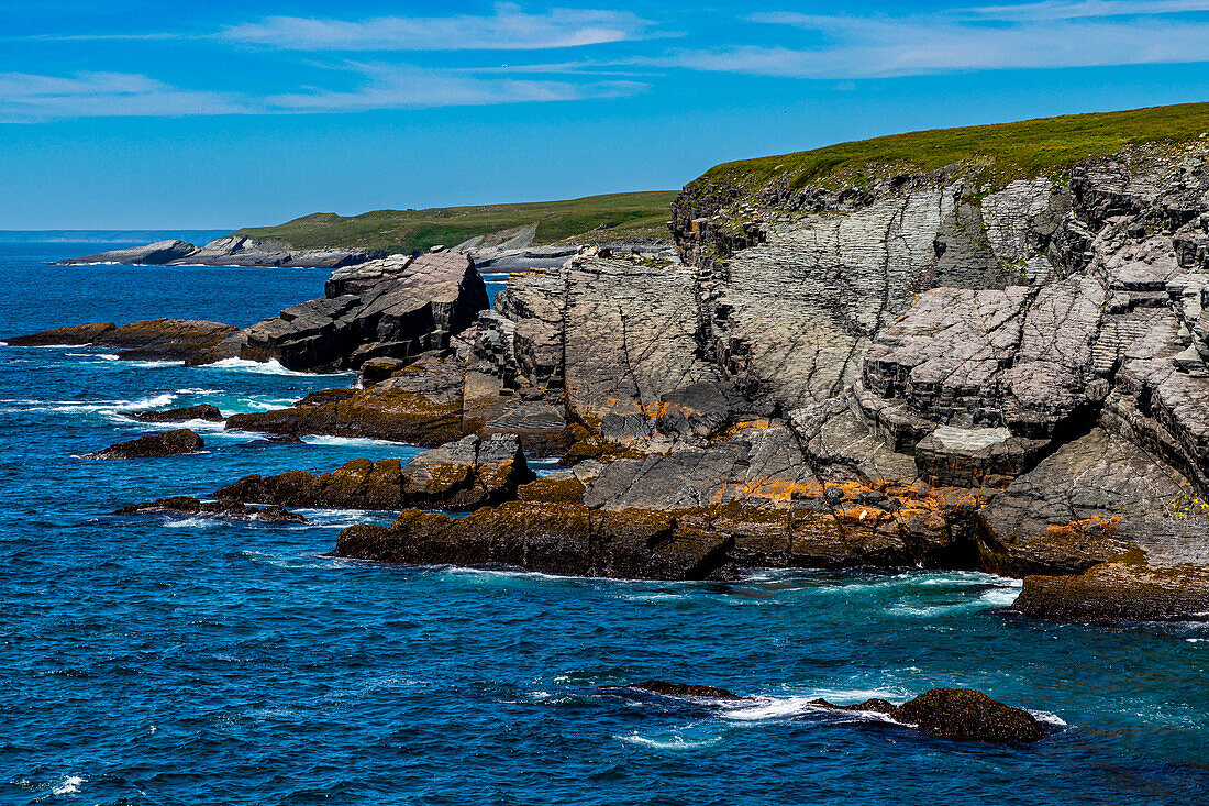 Wildnisgebiet, Mistaken Point, UNESCO-Welterbestätte, Avalon-Halbinsel, Neufundland, Kanada, Nordamerika