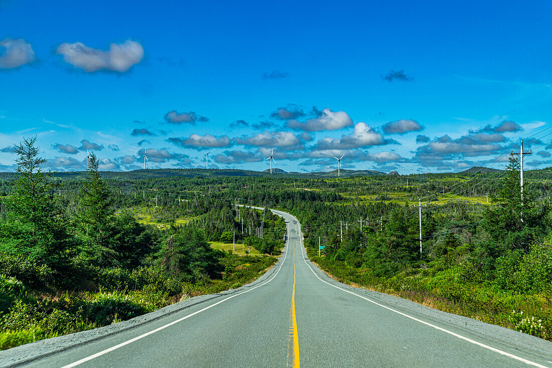 Road through the Avalon Wilderness, Newfoundland, Canada, North America