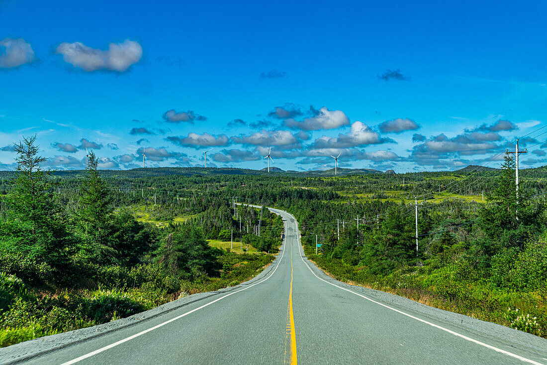 Straße durch die Avalon-Wildnis, Neufundland, Kanada, Nordamerika