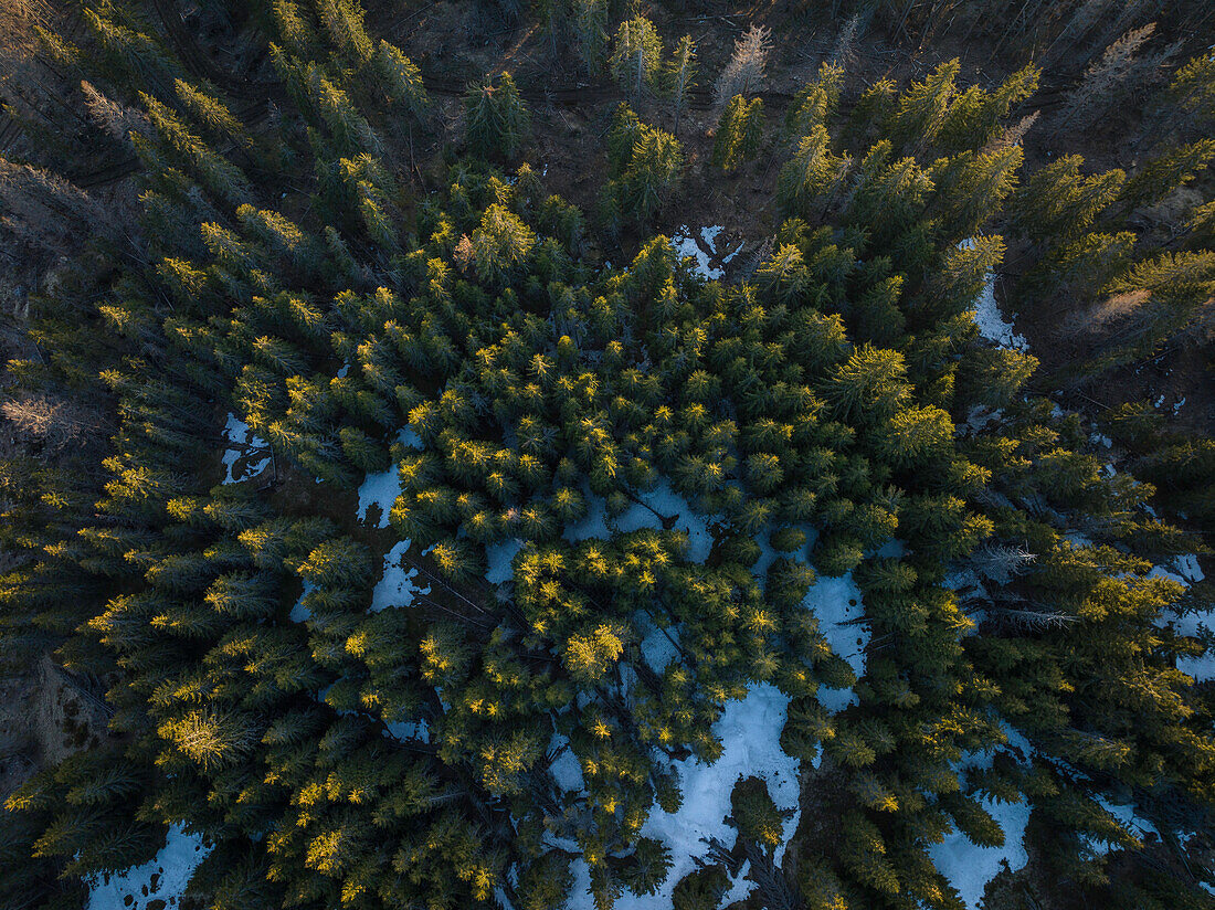 Aerial of forest landscape near Nucsoara, Arges County, Muntenia, Romania, Europe