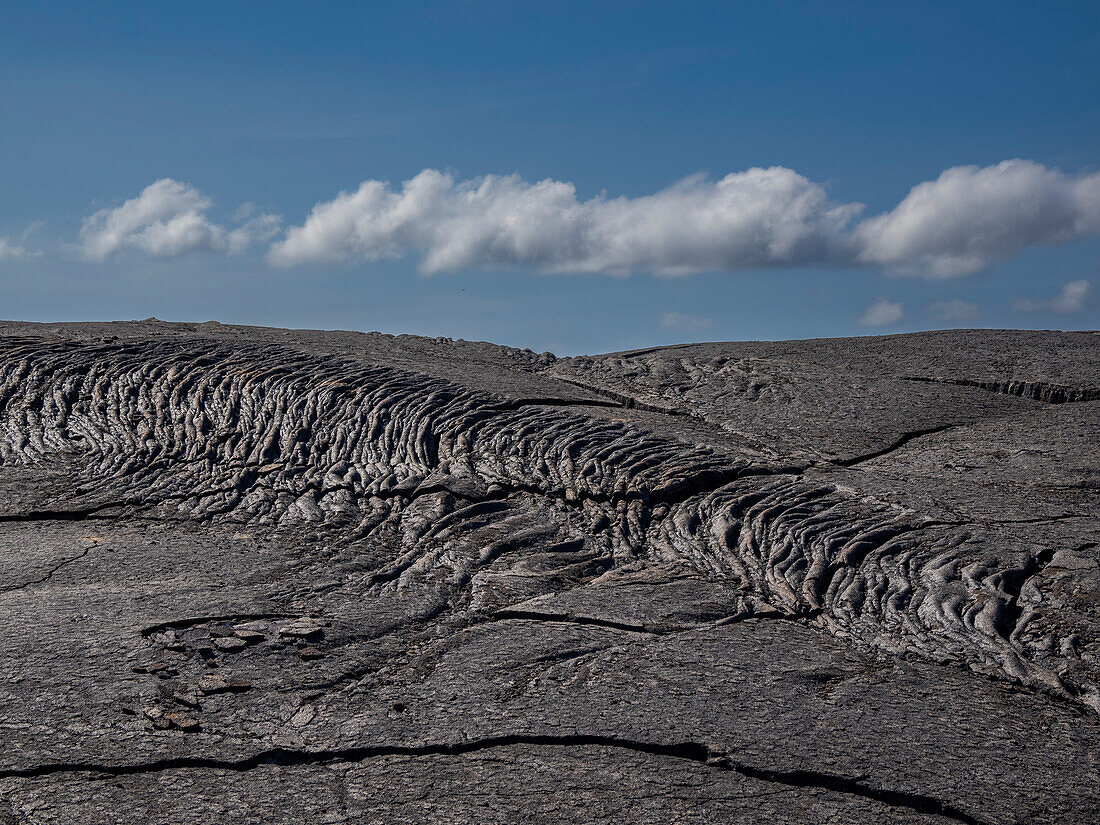 Pahoehoe lava on the youngest island in the Galapagos, Fernandina Island, Galapagos Islands, UNESCO World Heritage Site, Ecuador, South America