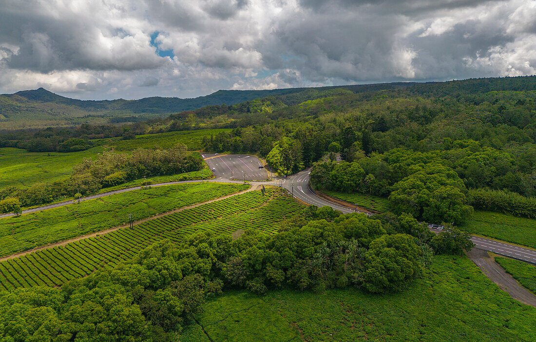 Aerial view of tea plantation near Bois Cheri Tea Factory, Mauritius, Indian Ocean, Africa