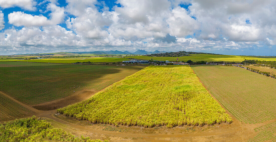 Aerial view of patchwork fields and mountains visible on horizon near Mapou, Rempart District, Mauritius, Indian Ocean, Africa