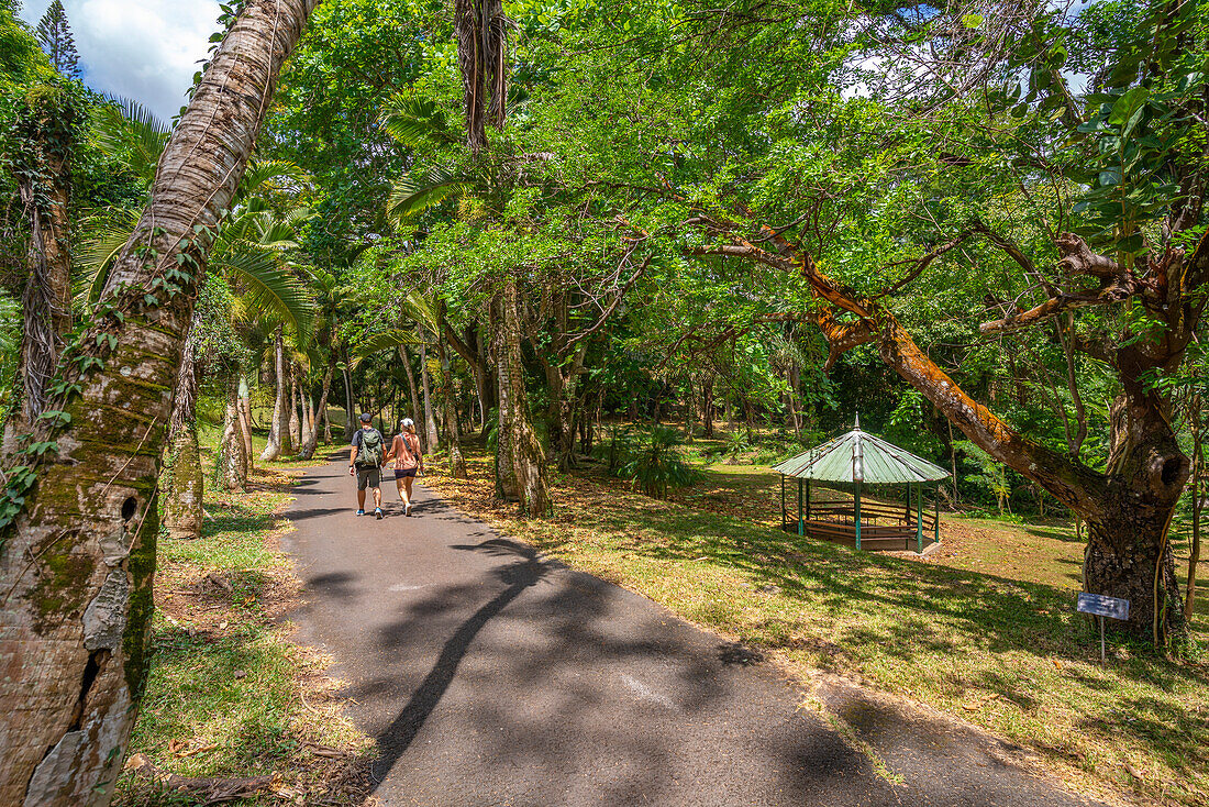 Blick auf Sir Seewoosagur Ramgoolam Botanischer Garten, Mauritius, Indischer Ozean, Afrika