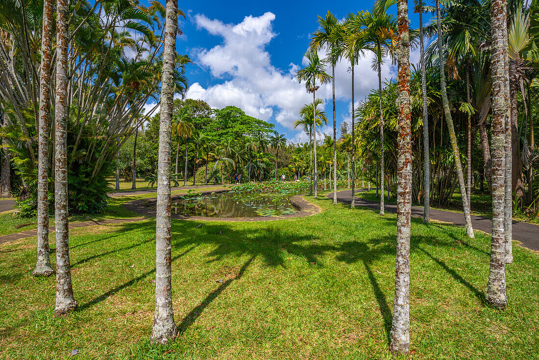 Blick auf Sir Seewoosagur Ramgoolam Botanischer Garten, Mauritius, Indischer Ozean, Afrika