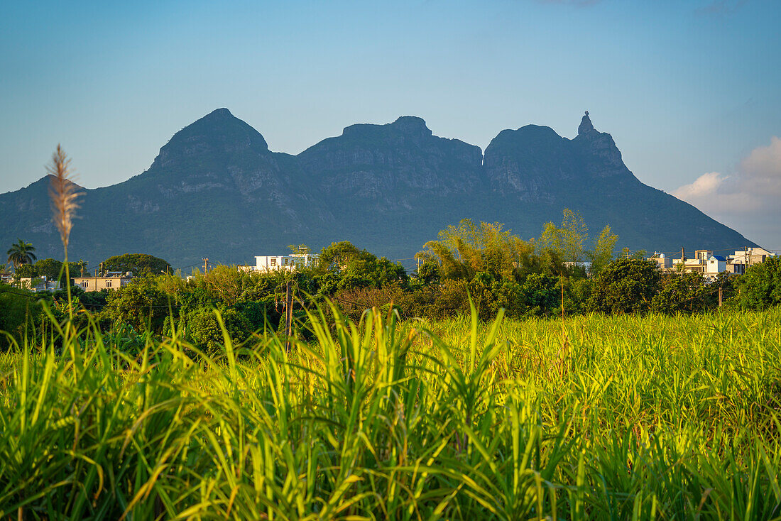 Blick auf Ackerland und Berge bei Quatre Bornes, Mauritius, Indischer Ozean, Afrika