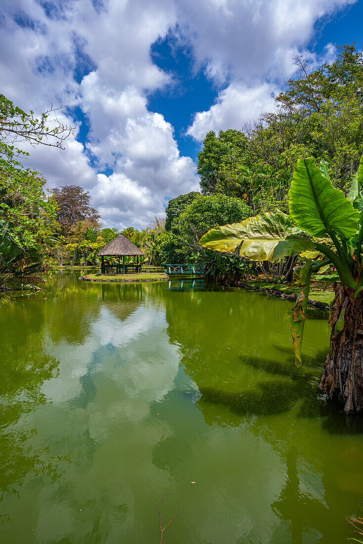 Blick auf Sir Seewoosagur Ramgoolam Botanischer Garten, Mauritius, Indischer Ozean, Afrika