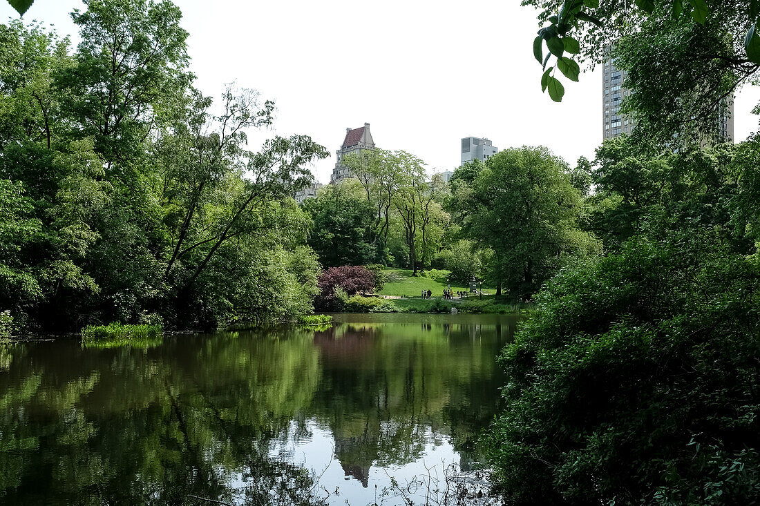 Blick auf The Pond, eines von sieben Gewässern im Central Park in der Nähe des Grand Army Plaza, gegenüber dem Central Park South vom Plaza Hotel, New York City, Vereinigte Staaten von Amerika, Nordamerika