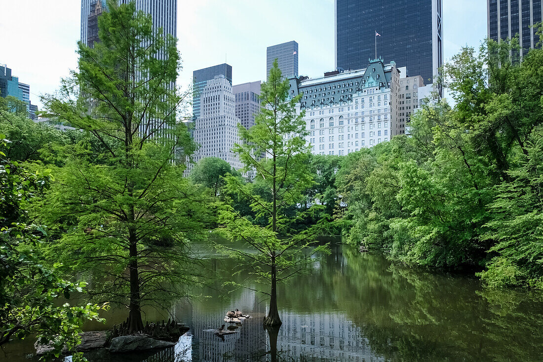 Blick auf das Stadtbild von Manhattan von The Pond aus gesehen, einem der sieben Gewässer im Central Park in der Nähe des Grand Army Plaza, gegenüber dem Central Park South vom Plaza Hotel, New York City, Vereinigte Staaten von Amerika, Nordamerika