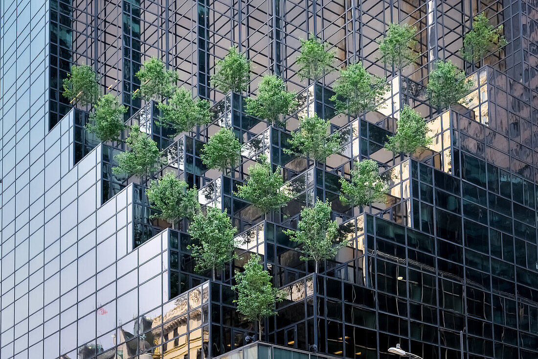 Architectural detail of Fifth Avenue, a major and prominent thoroughfare in the borough of Manhattan in New York City, New York, United States of America, North America