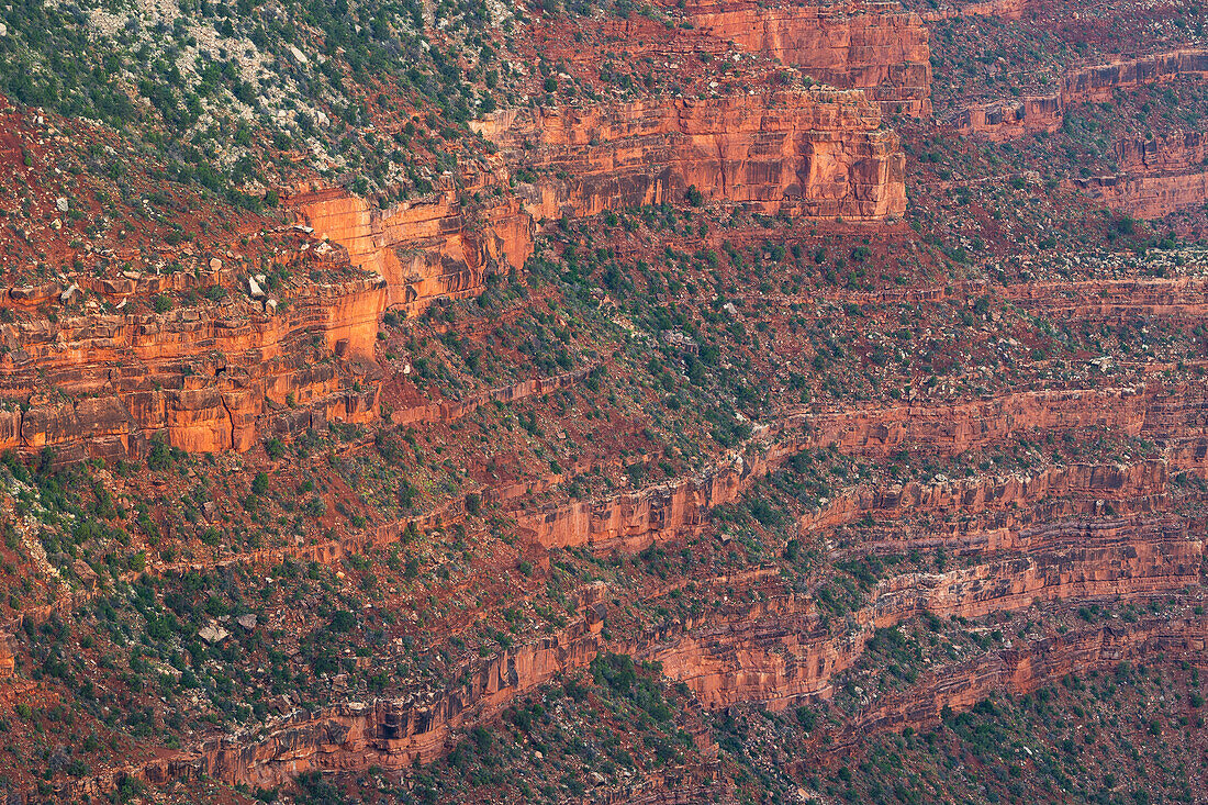 Detail der Felswände des Grand Canyon, an einem Sommertag, UNESCO-Weltkulturerbe, Arizona, Vereinigte Staaten von Amerika, Nordamerika