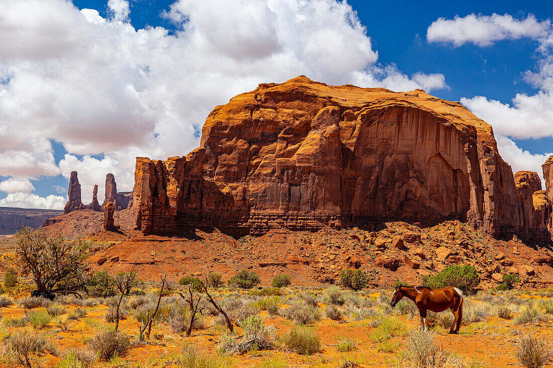 A horse rests in the beautiful Monument Valley on a summer day, Arizona, United States of America, North America