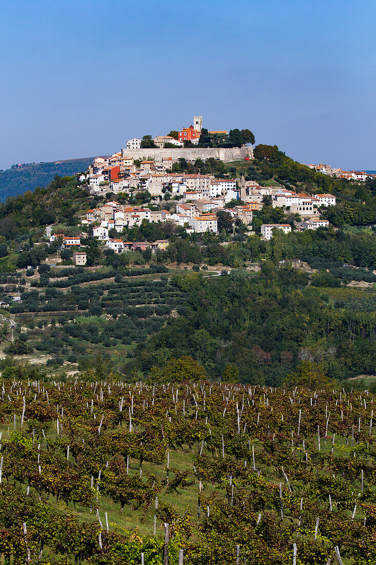 Long distance view, Motovun, Croatia, Europe