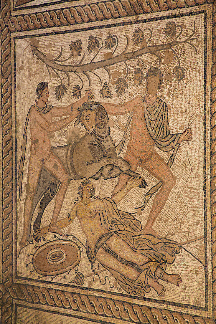 Roman Floor Mosaic, The Punishment of Dirce, Pula, Croatia, Europe