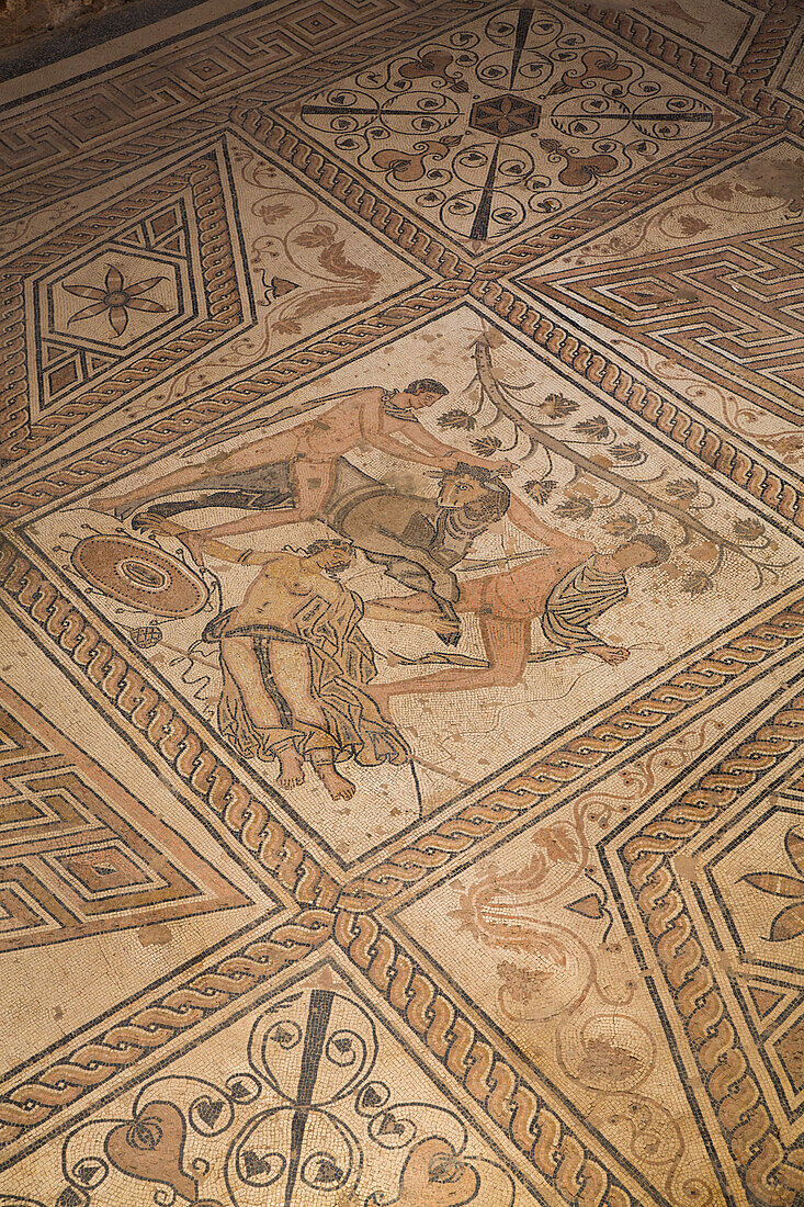 Roman Floor Mosaic, The Punishment of Dirce, Pula, Croatia, Europe