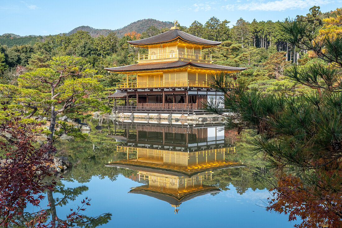 Kinkaku-ji-Tempel des Goldenen Pavillons, der sich in einem See spiegelt, UNESCO-Weltkulturerbe, Kyoto, Kyoto, Honshu, Japan, Asien