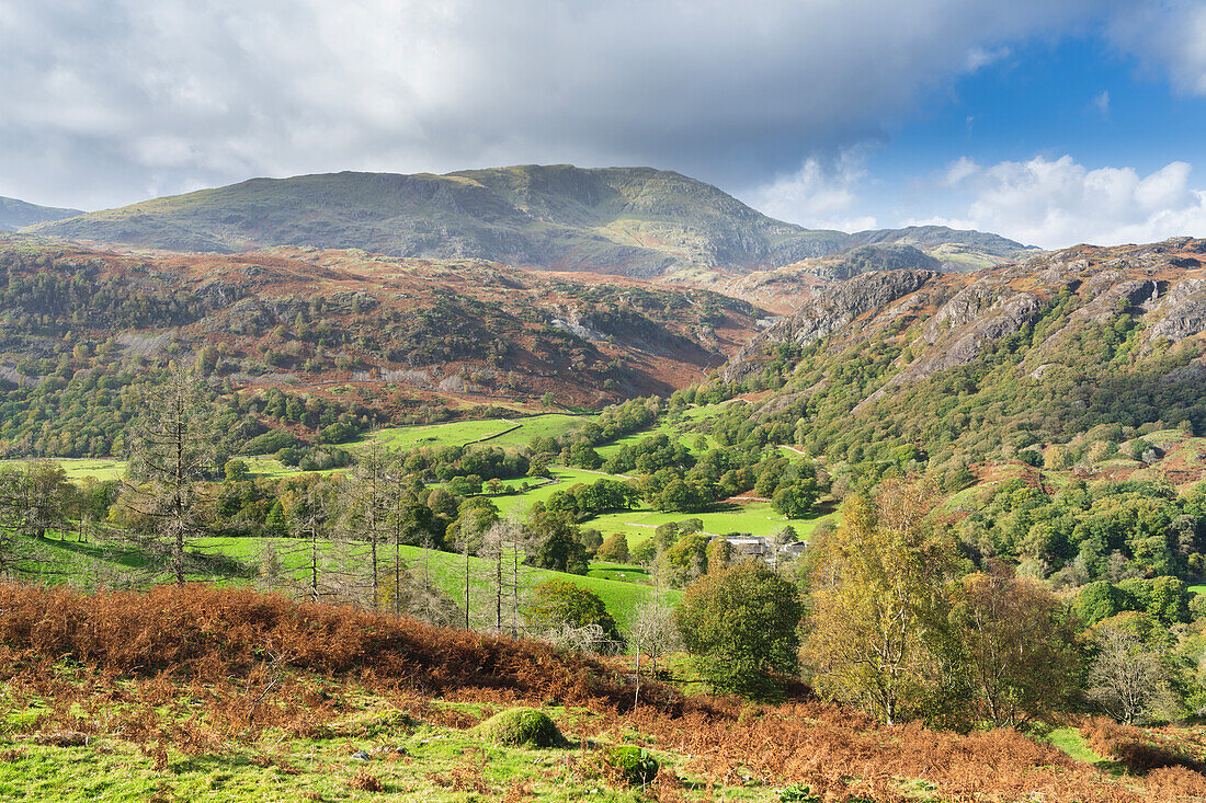 Goat Crag and Coniston Moor from Tarn Hows near Coniston in south eastern Lake District, Lake District National Park, UNESCO World Heritage Site, Cumbria, England, United Kingdom, Europe