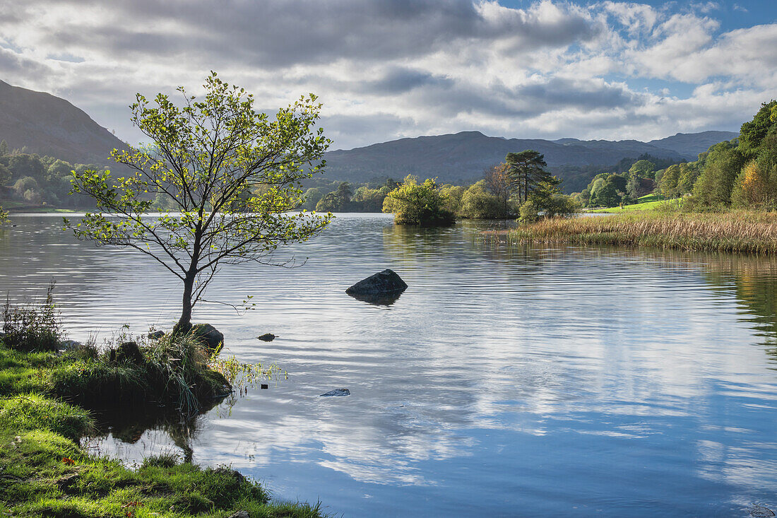 Frühherbst, am Rydal Water im Lake District National Park, UNESCO-Weltkulturerbe, Cumbria, England, Vereinigtes Königreich, Europa