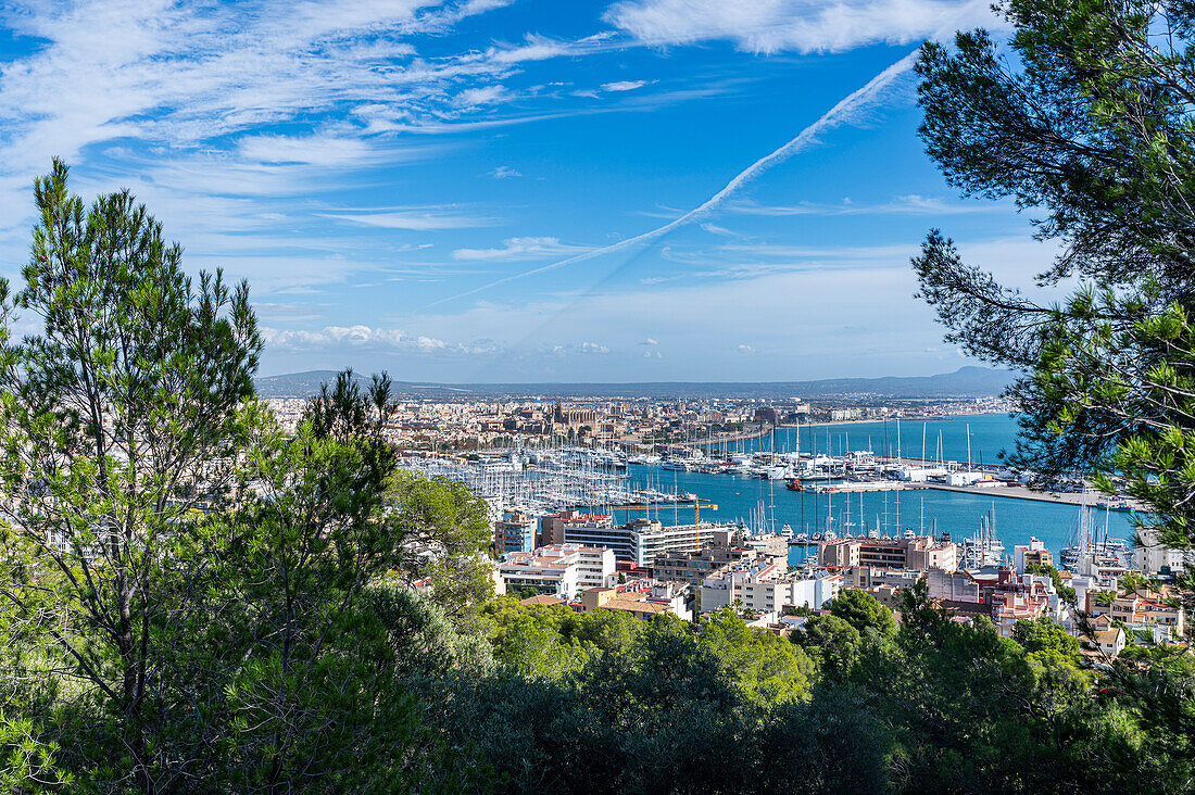 View from Bellver Castle over Palma, Mallorca, Balearic islands, Spain, Mediterranean, Europe