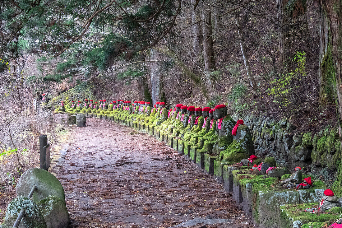 Narabi Jizo Buddha-Statuen mit rotem Hut, bedeckt mit Moos in Nikko, Tochigi, Honshu, Japan, Asien