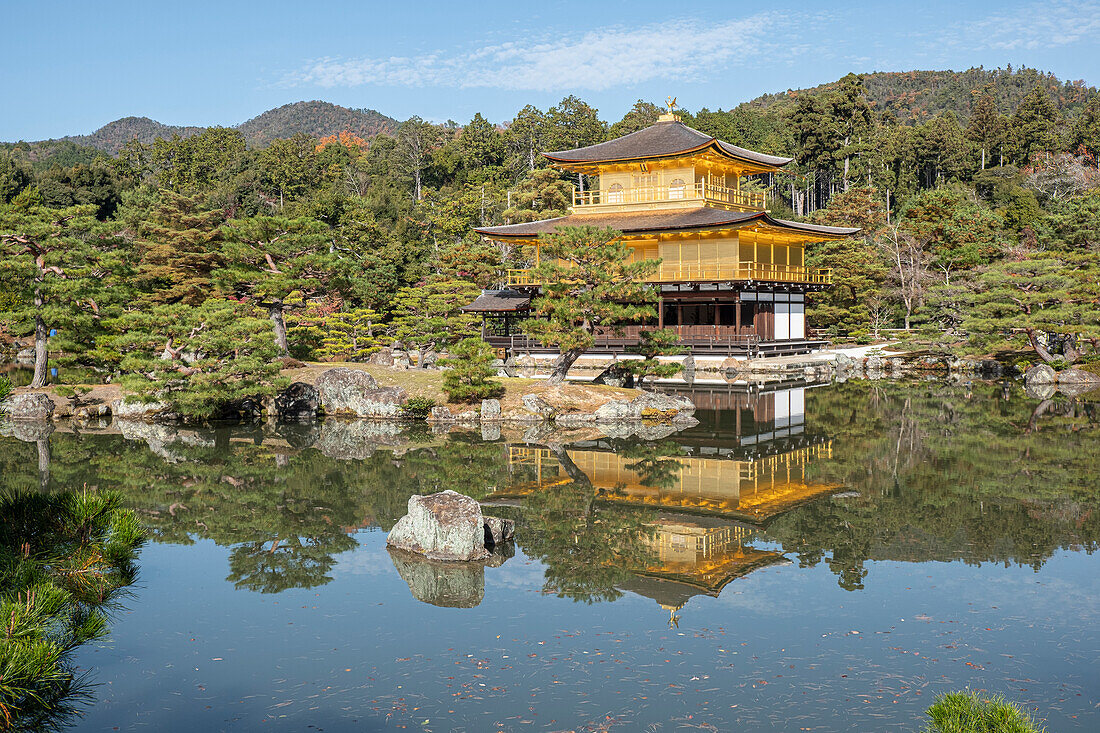 Kinkaku-ji Golden Pavilion Temple reflected in a pond in autumn, UNESCO World Heritage Site, Kyoto, Honshu, Japan, Asia