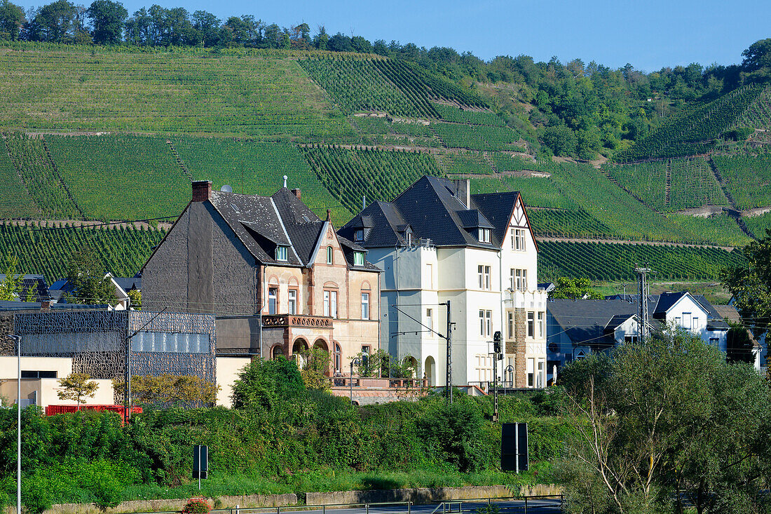 Winningen city along the Moselle, Winningen, Rhineland-Palatinate, Germany, Europe