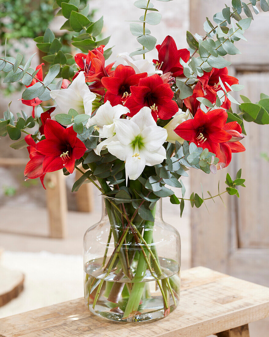 Mixed amaryllis bouquet