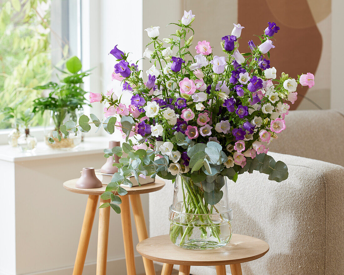 Campanula mittelgroßer Champion-Strauß gemischt