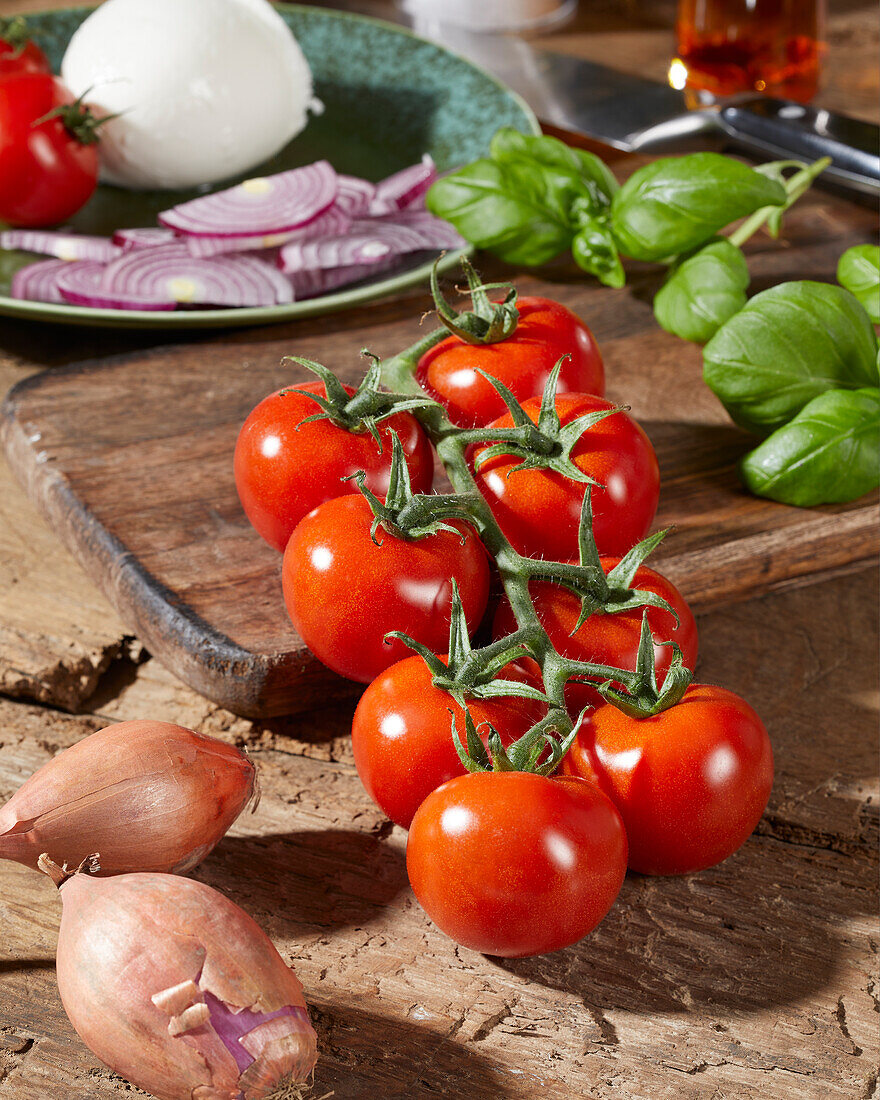 Tomate, Solanum lycopersicum Tasty Tom