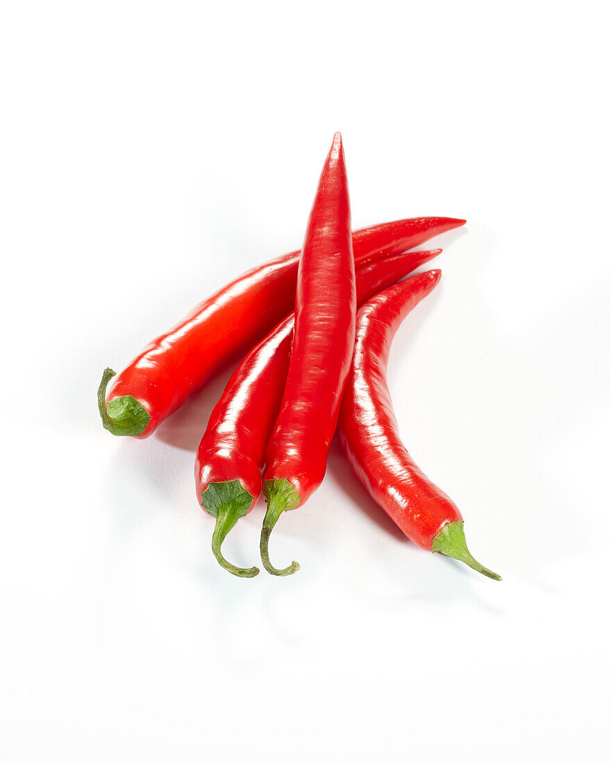 Roter Paprika, Capsicum annuum