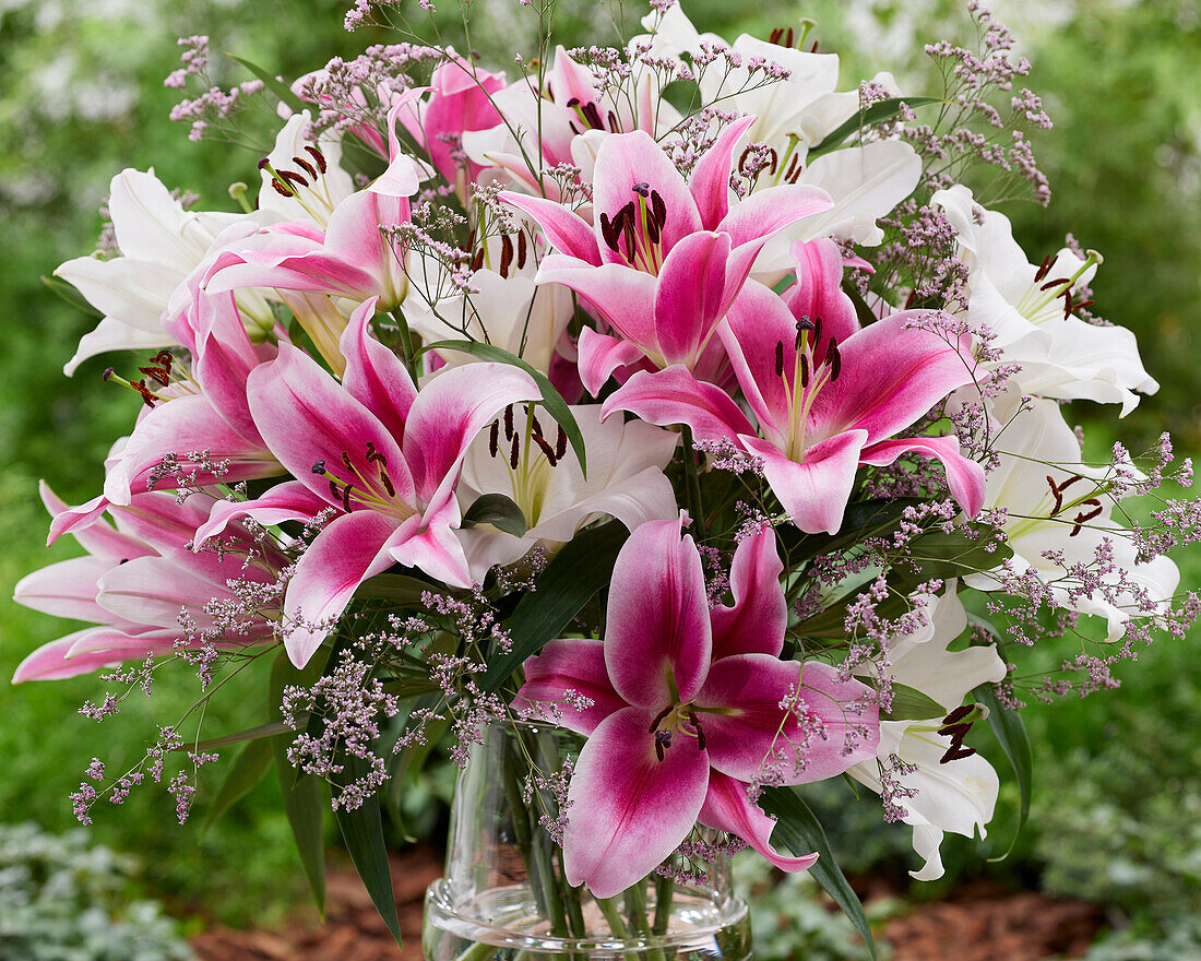 Mixed lily bouquet