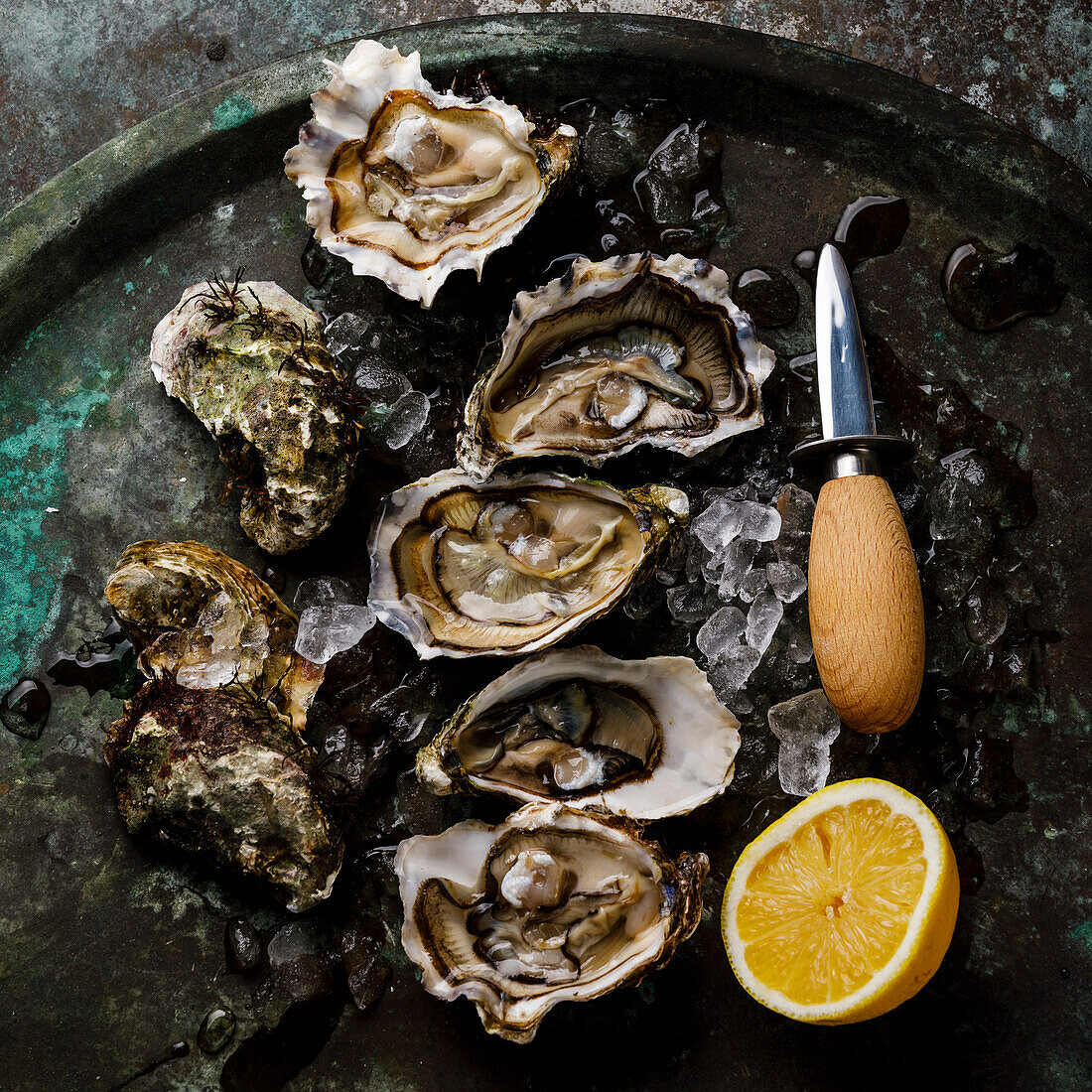 Open, freshly shucked oysters with lemon on ice against a dark background