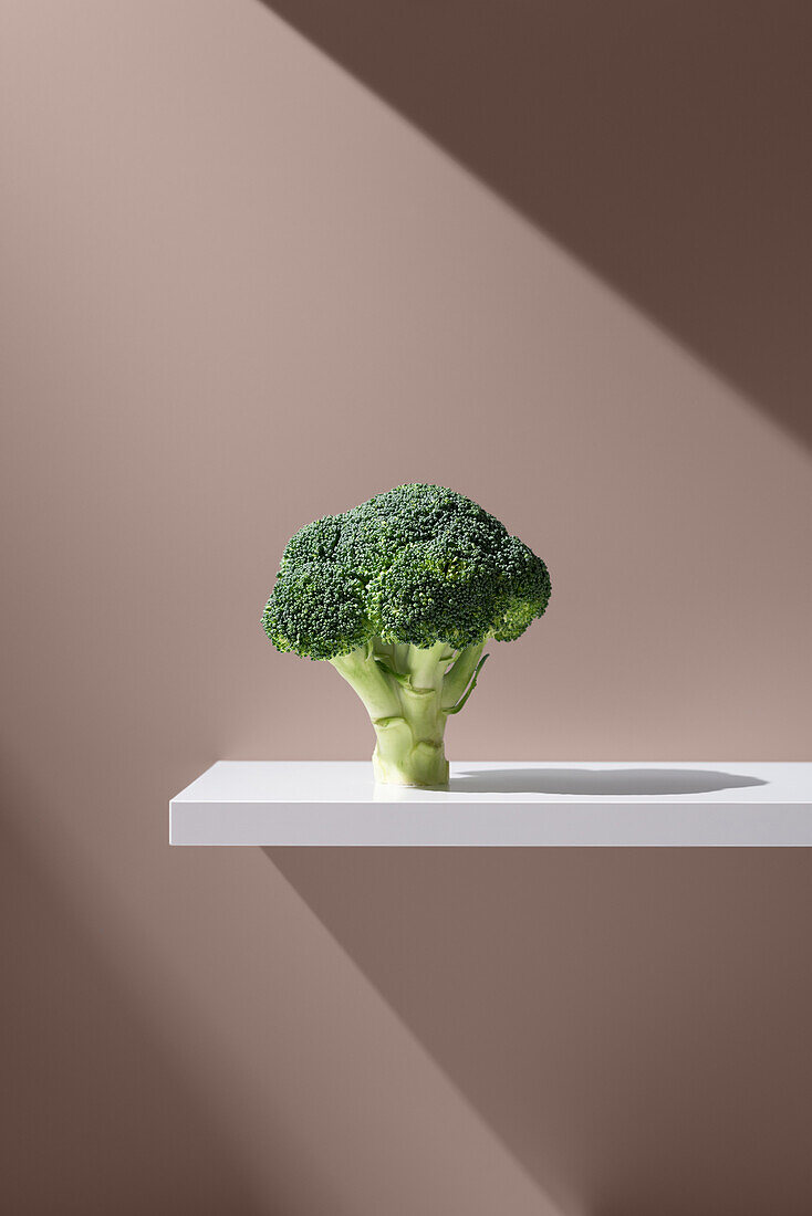 Fresh broccoli with green leaves on a white table on a brown background in the studio under a bright beam of light