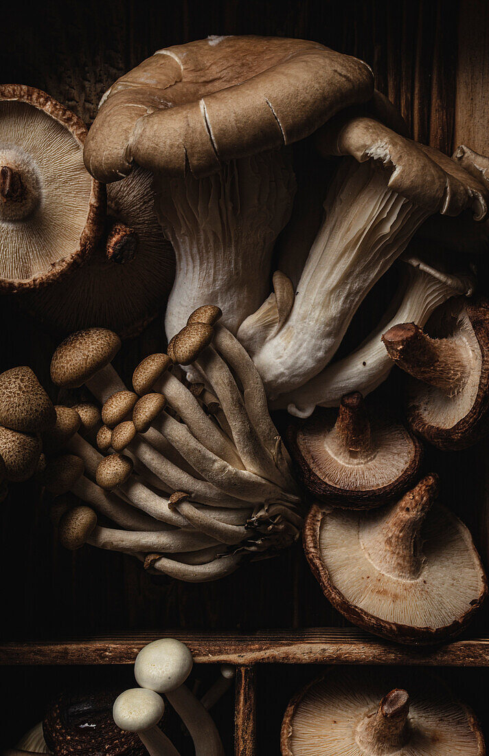 A collection of brown mushrooms