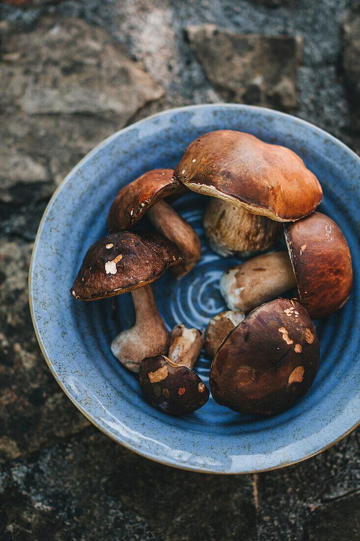 Porcini mushrooms in a ceramic bowl