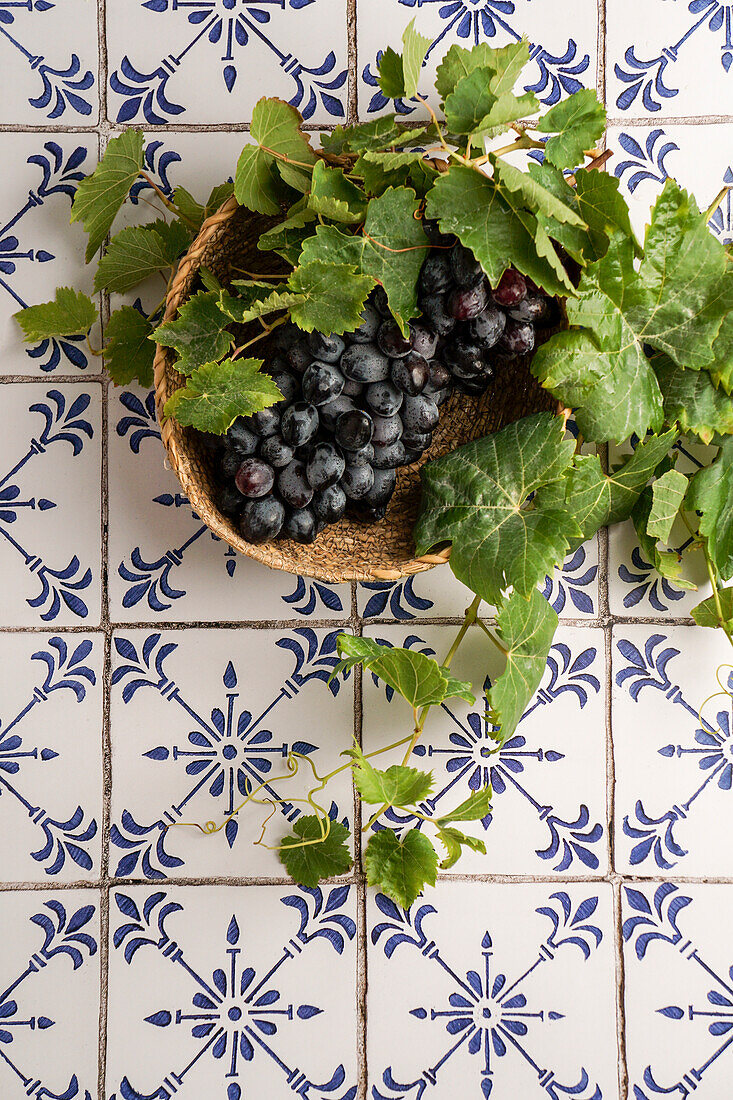 Vine with ripe grapes, wine making, on a table with ceramic tiles, Mediterranean, concept of autumn, vineyards