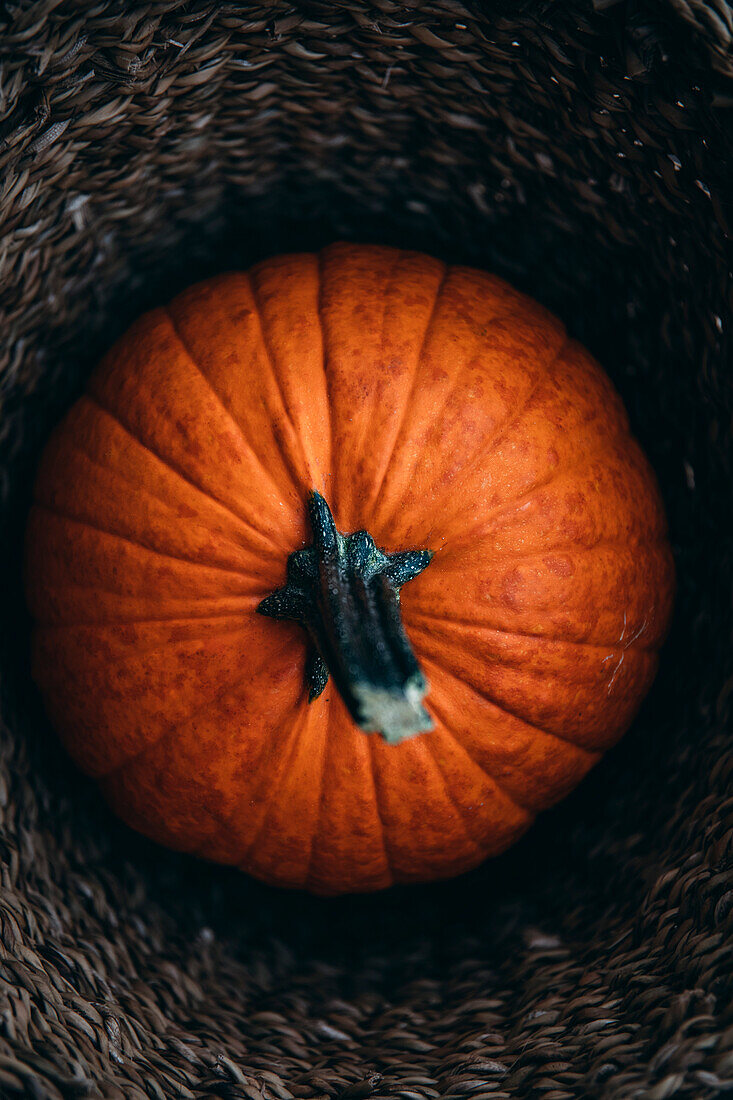 An orange pumpkin surrounded by copy space