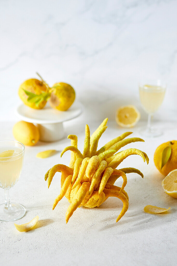 Tablescape with Buddha's Hand lemon, yuzu, lemons and citrus drinks on a white background