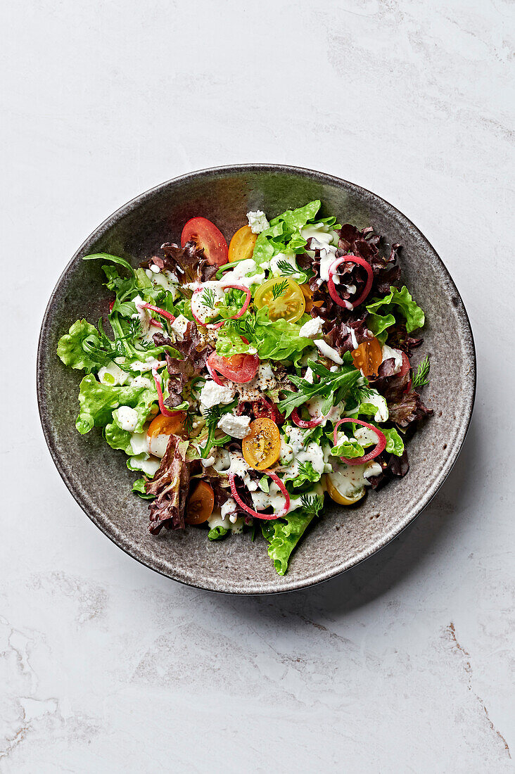 Beilagensalat mit Rucola, Korallensalat, rotem Eichenblatt, rosa eingelegten Schalotten, Kirschtomaten, Fetta, Joghurt und Dilldressing