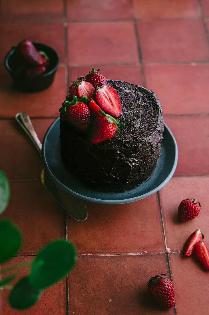 Chocolate cake with fresh strawberries against a terracotta background