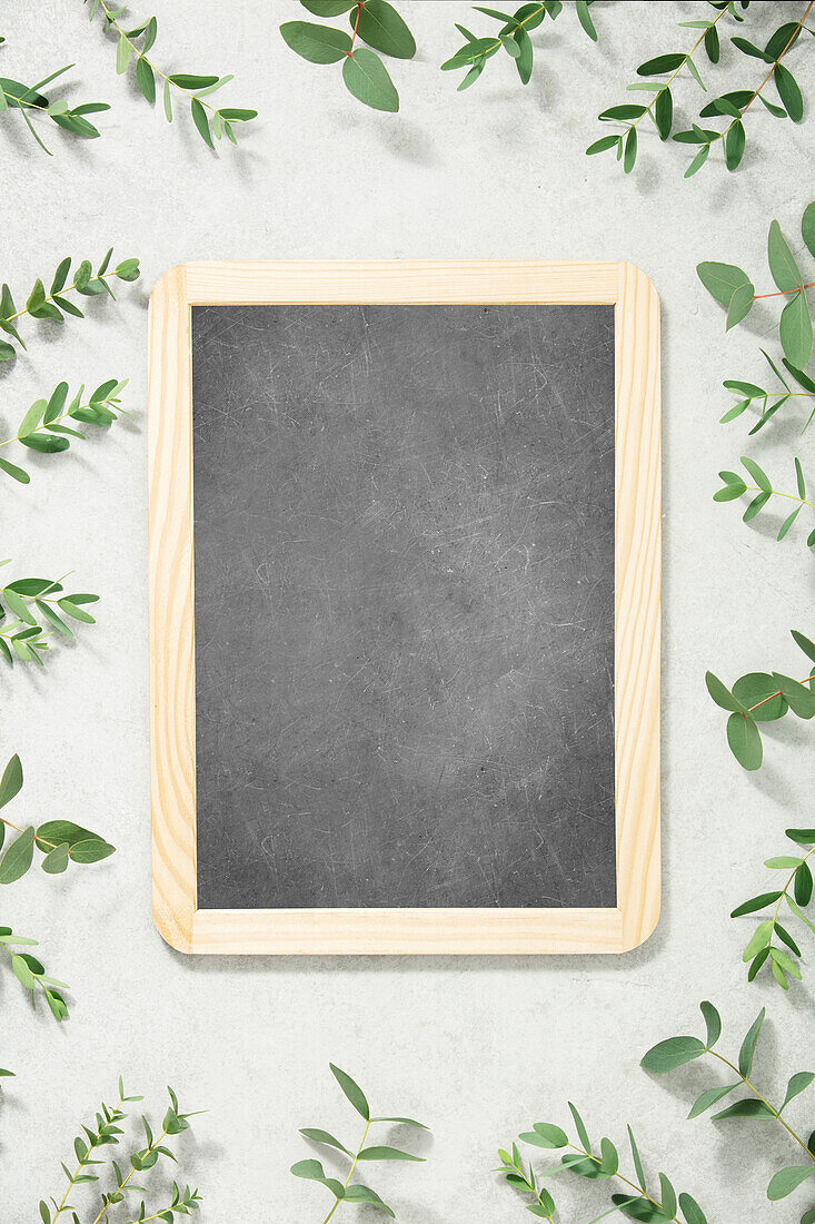 Frame made of eucalyptus branches and empty chalk board on concrete background