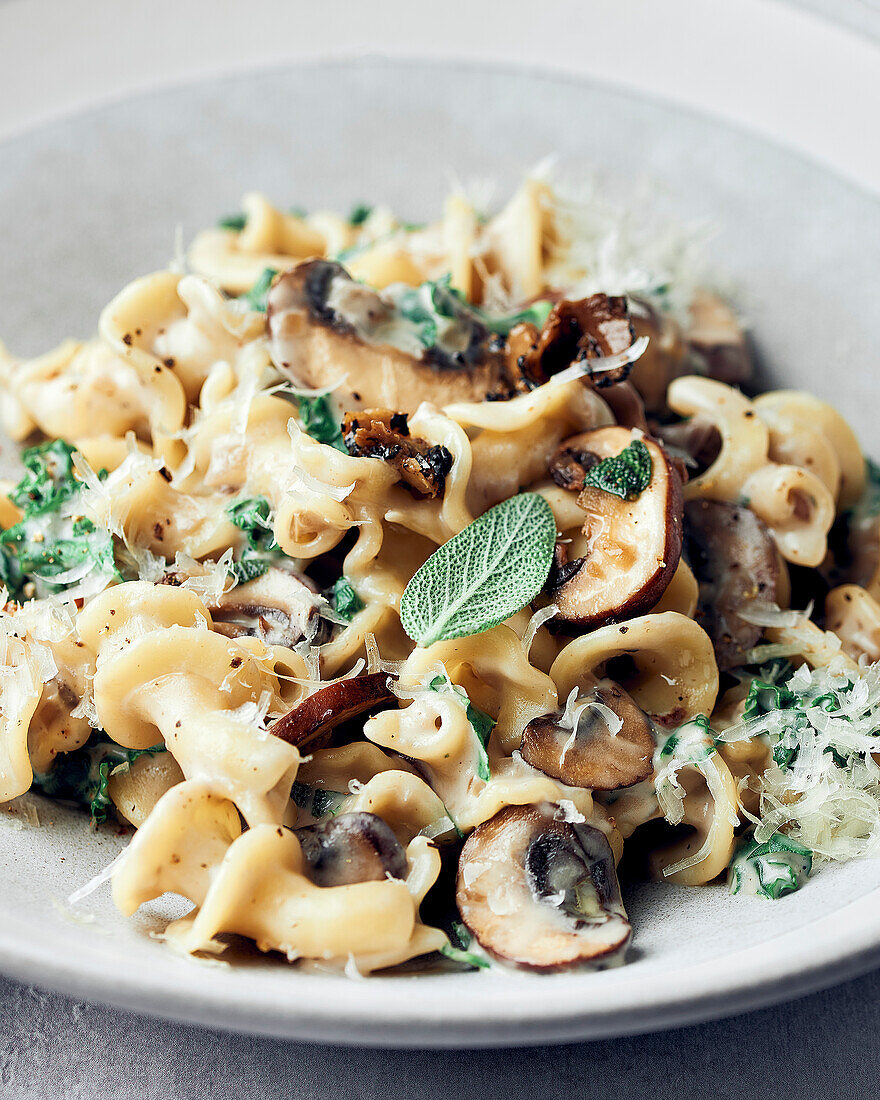 Nahaufnahme einer Schüssel mit cremiger Pilzpasta mit Salbei