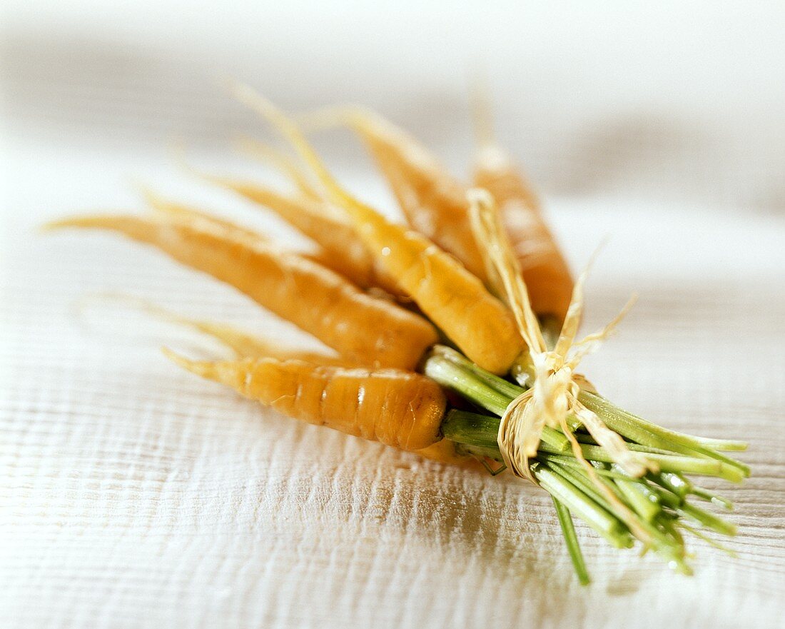 A bunch of carrots