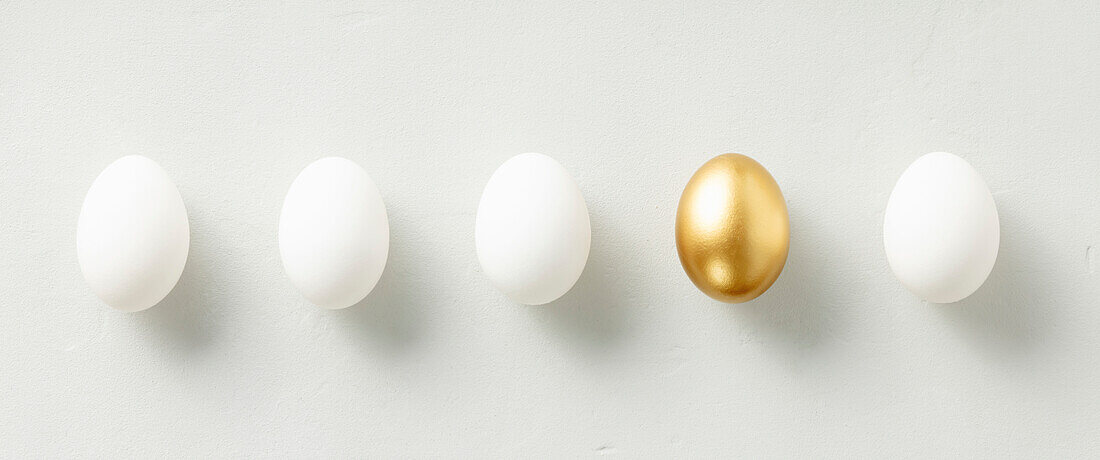White chicken eggs with a golden egg, laid flat, top view, banner that stands out from the crowd