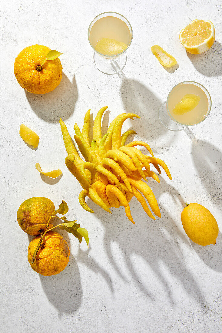 Flatlay mit Buddha's Hand Zitrone, Yuzu, Zitronen und Zitrusgetränken auf weißem Hintergrund