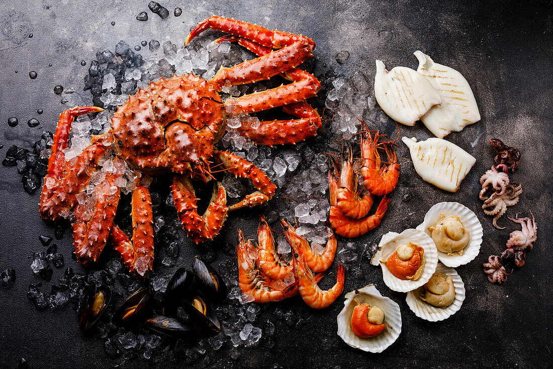 Gekochte Meeresfrüchte auf Eis - Königskrabbe, Garnele, Miesmuscheln, Jakobsmuscheln in Schalen, Mini-Octopus, Tintenfisch auf Grill auf dunklem Hintergrund