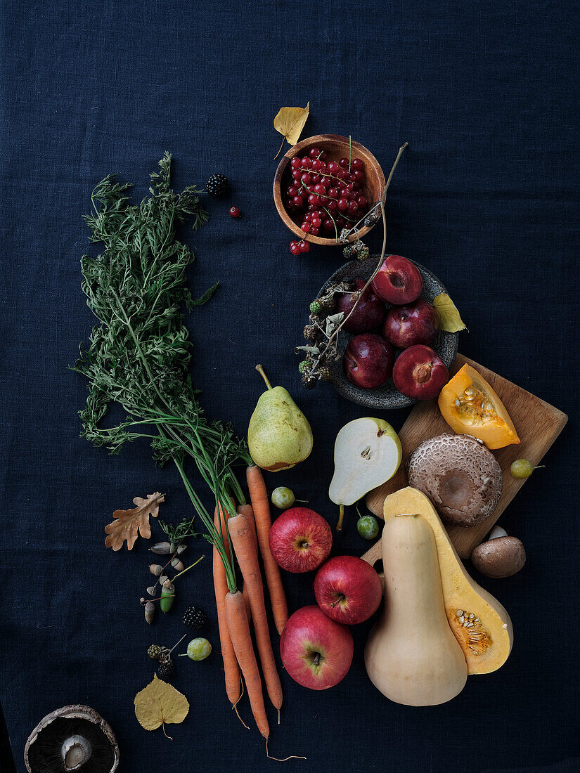 Herbstliche Lebensmittelzutaten auf dunkelblauem Hintergrund. Flat-Lay von Herbstgemüse, Beeren und Pilzen aus dem lokalen Markt. Vegane Zutaten