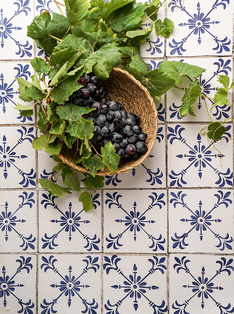 Weinstock mit reifen Trauben, Weinherstellung, auf einem Tisch mit Keramikfliesen, mediterran, Konzept des Herbstes, Weinberge