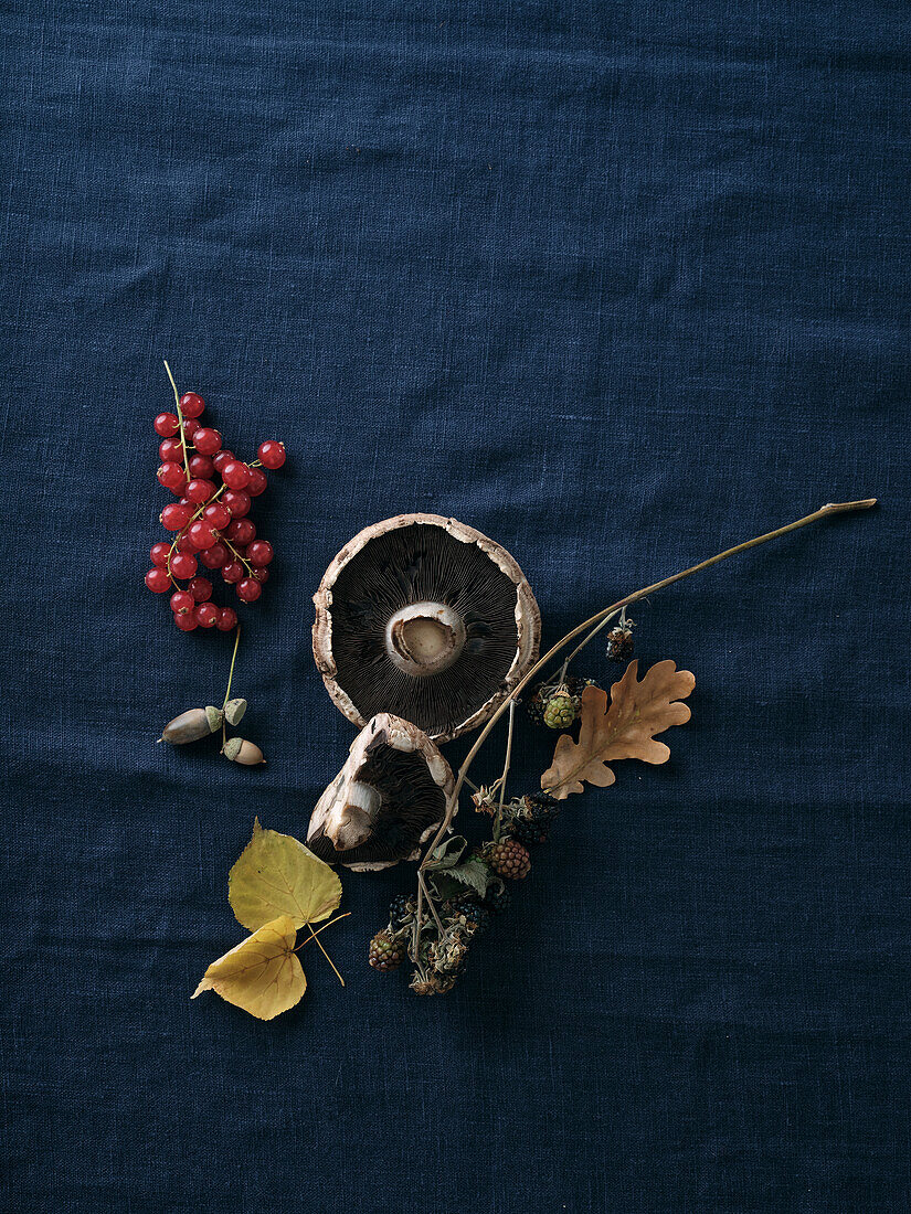 Autumnal food ingredients on a dark blue background. Flat-lay of autumn vegetables, berries and mushrooms from the local market. Vegan ingredients